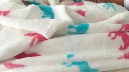 Coral Fleece Baby Blanket with Lovely Embroidered Carton Design 